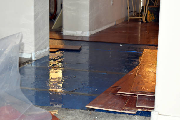 Professional Basement Flooding technician working in Mishicot, WI